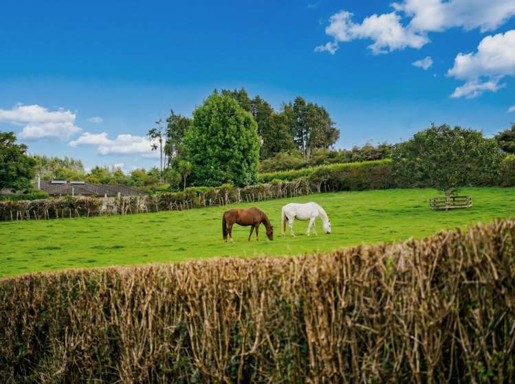 40 Farquharson Road Ararimu_38