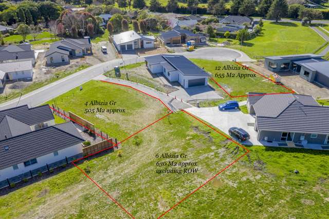 12 Albizia Grove Waikanae_3