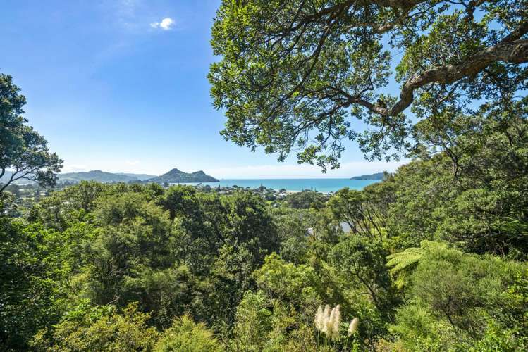 49 Mount Avenue Pauanui_21
