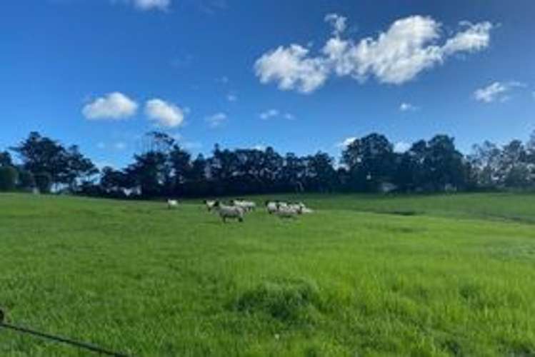 270 Ireland Road Waitoki_27