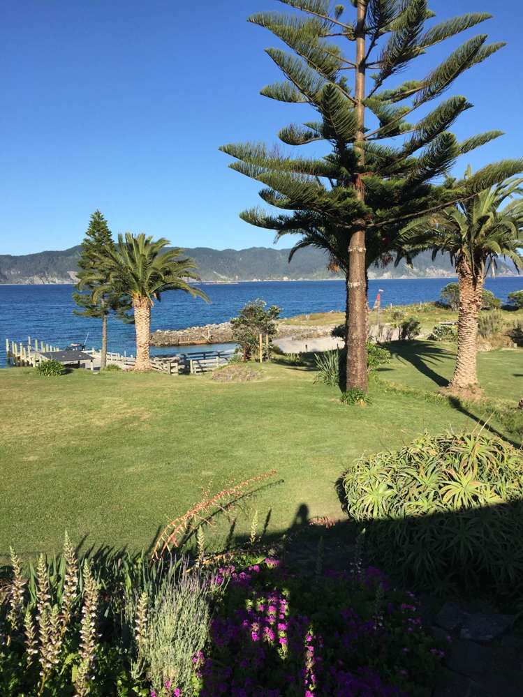 190 Pacific Ocean, Slipper Island (Whakahua) Thames_68