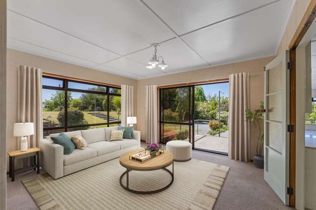 344 Palmer Mill Road Wairakei_3