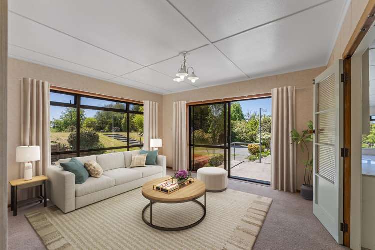 344 Palmer Mill Road Wairakei_3