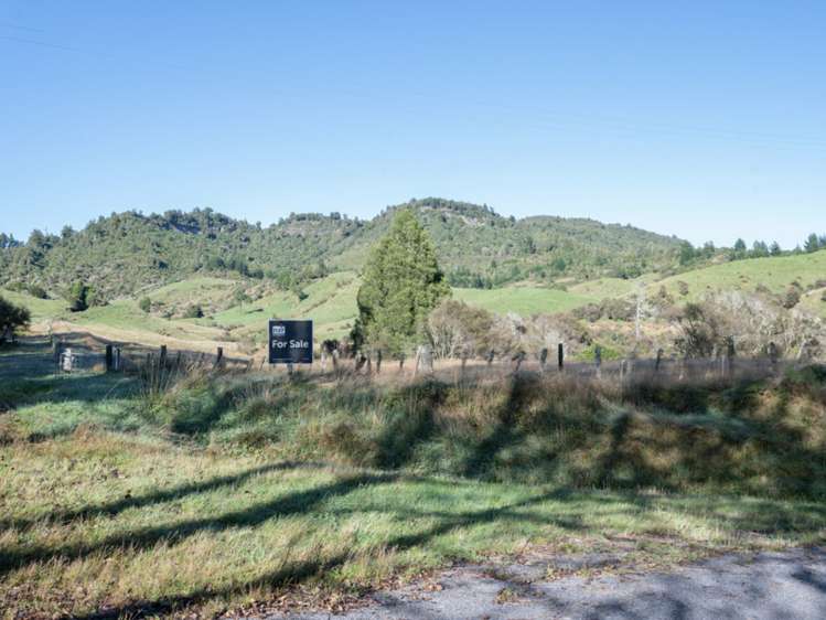 Kaitieke Road Owhango_12