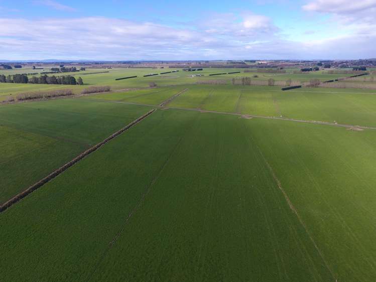 31 Waikouro Wairio Road Otautau_11