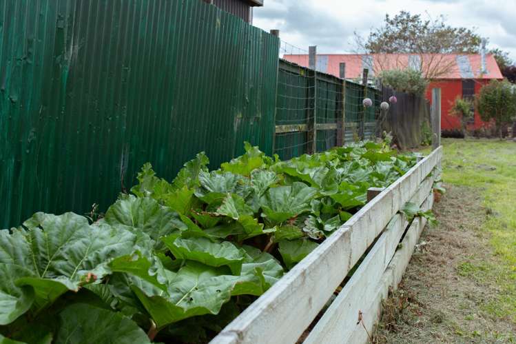 3 Murdoch Place Mayfield_15