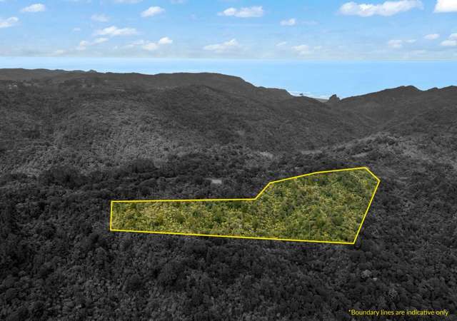 233 Piha Road Piha_2