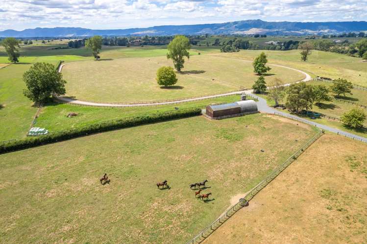 4602A State Highway 29 Matamata_21