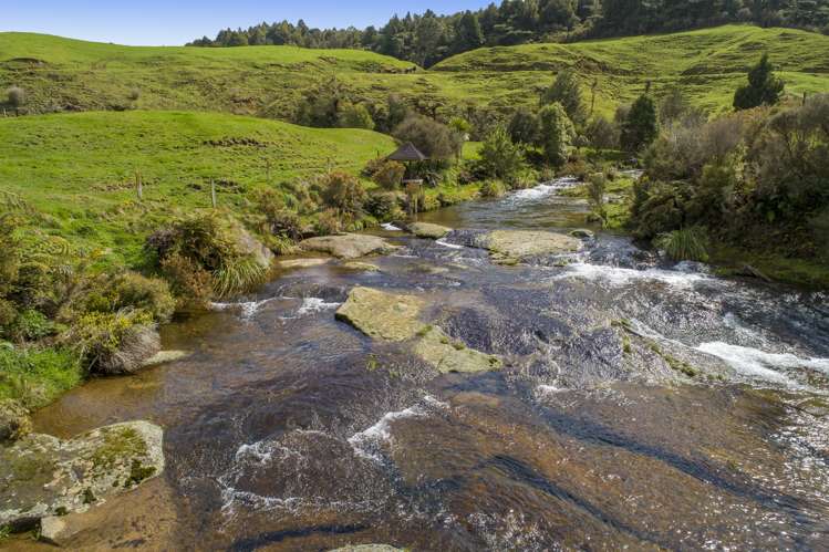 698f Whakamarama Road Whakamarama_23