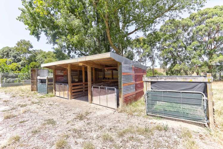 209 No 3 Line Wanganui East_29