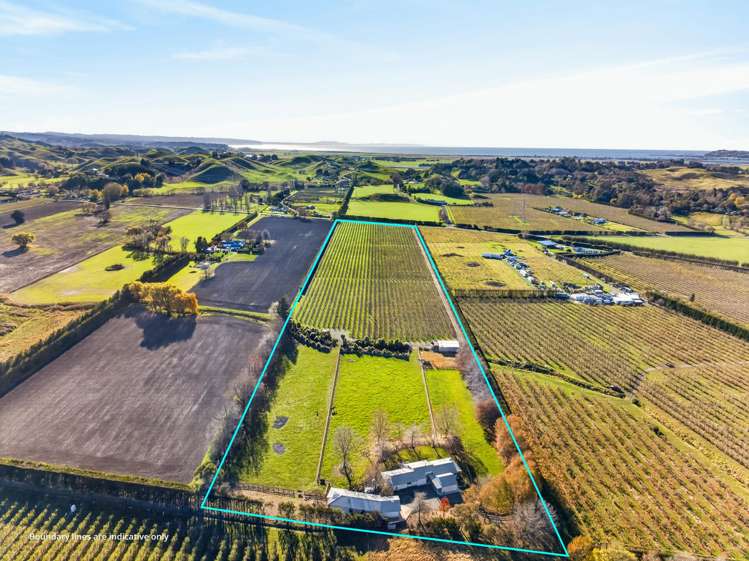 529 Puketitiri Road Puketapu_30