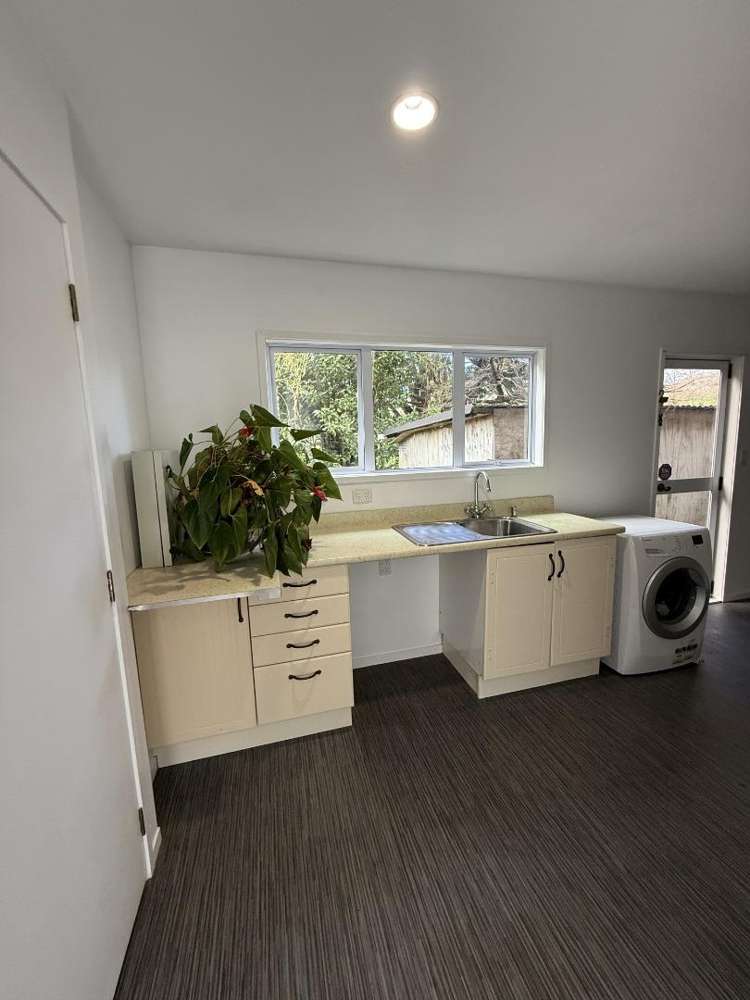 348A Horseshoe Bush Road Dairy Flat_17