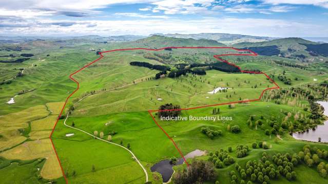 Scale With Purchase Options