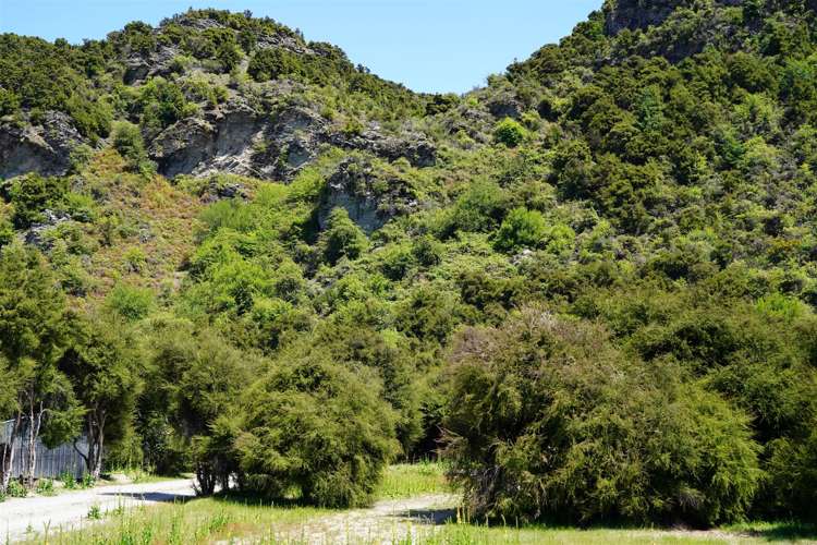 13 Ewing Place Albert Town_9