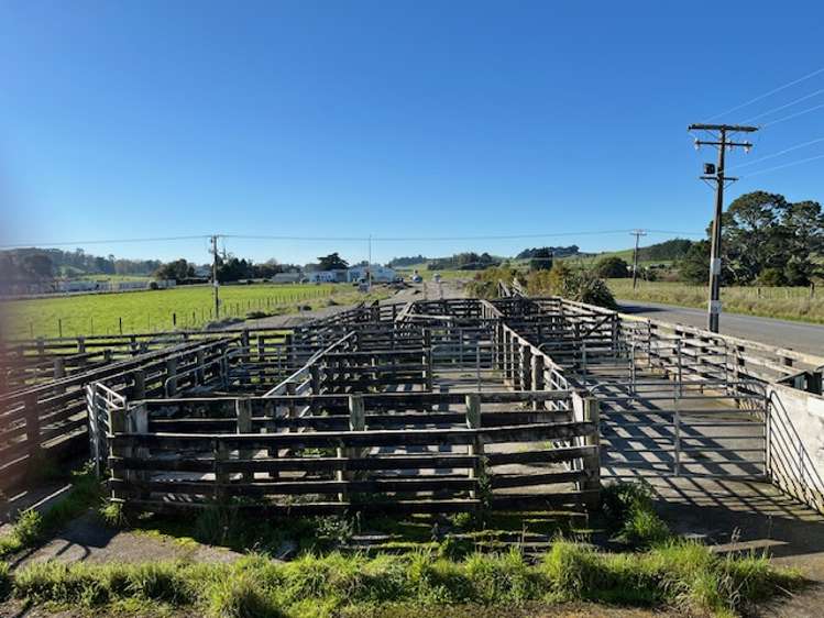 34 School Road Dannevirke_11