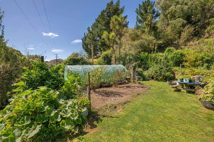 511 State Highway 1 Picton_22