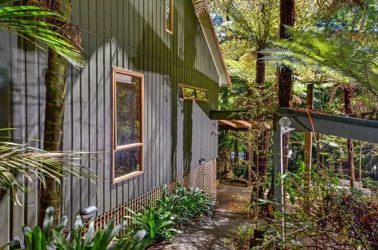 138 Konini Road Titirangi_2