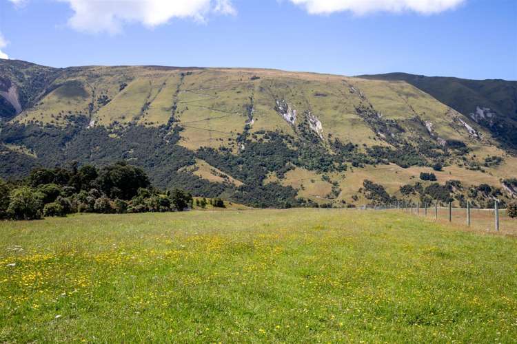 1178 Puhi Puhi Road Puhi Puhi_25