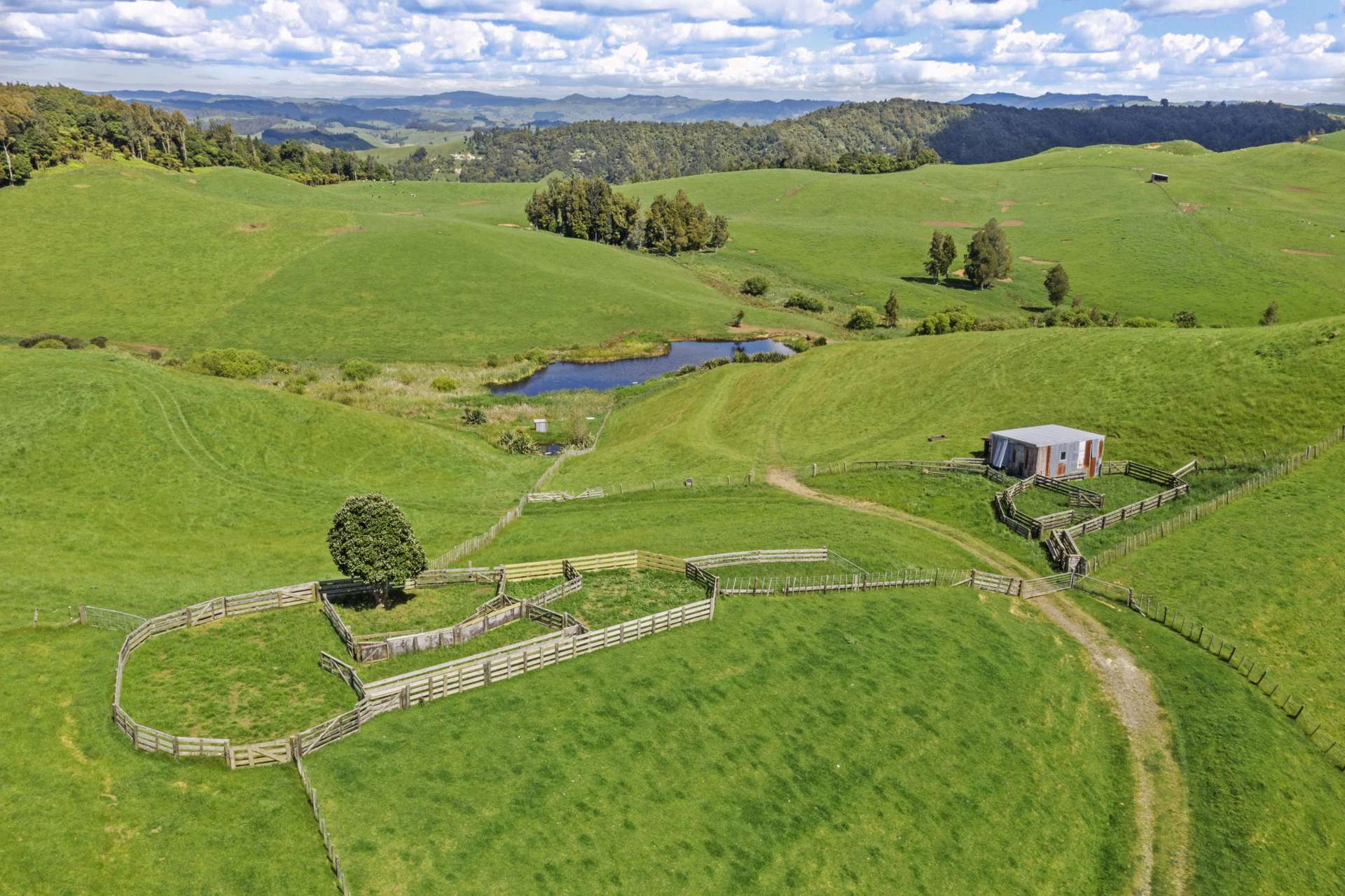 786 Tikitiki Road Te Kuiti_0