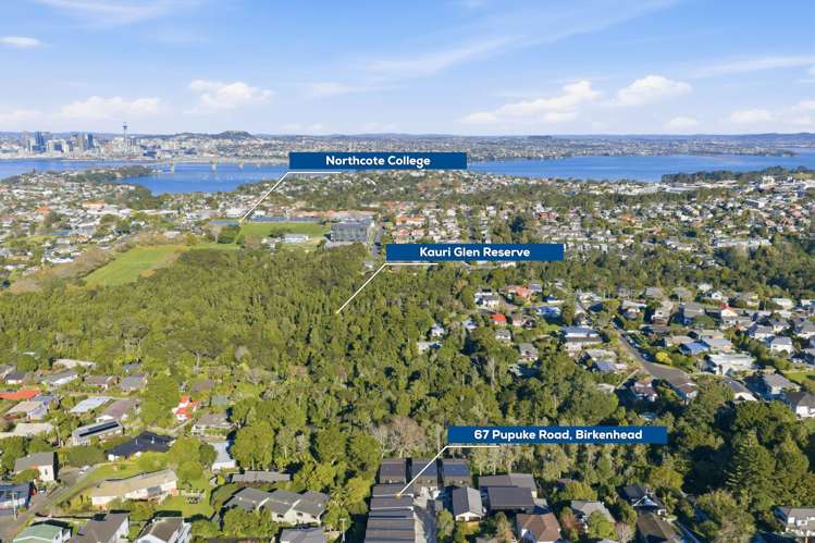 Lots7,8,9/67 Pupuke Road Birkenhead_41