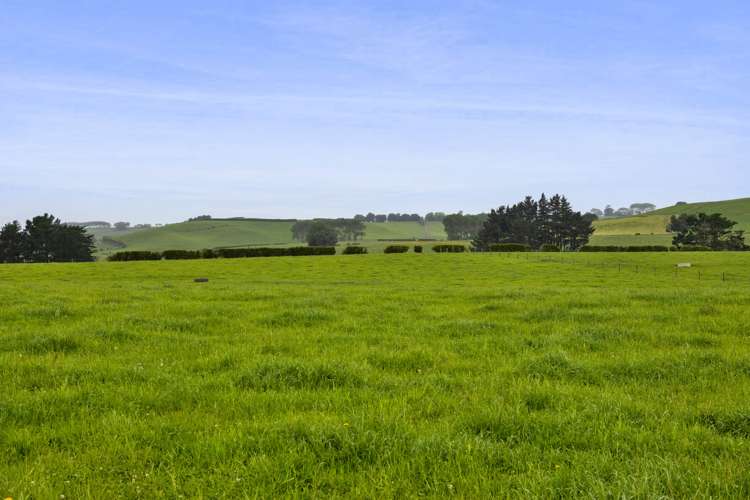 256 Lower Stuart Road Eltham_6