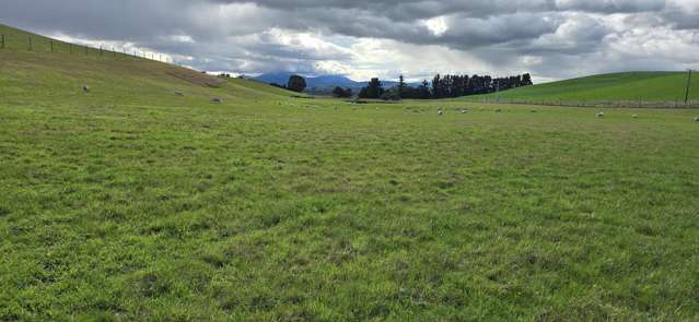 74 Esler Road Pleasant Point_2