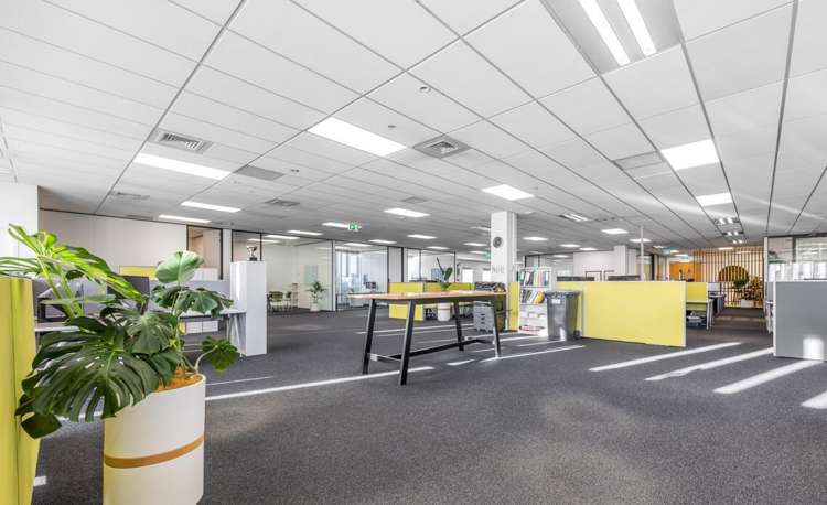 8 Nugent Street Grafton_5