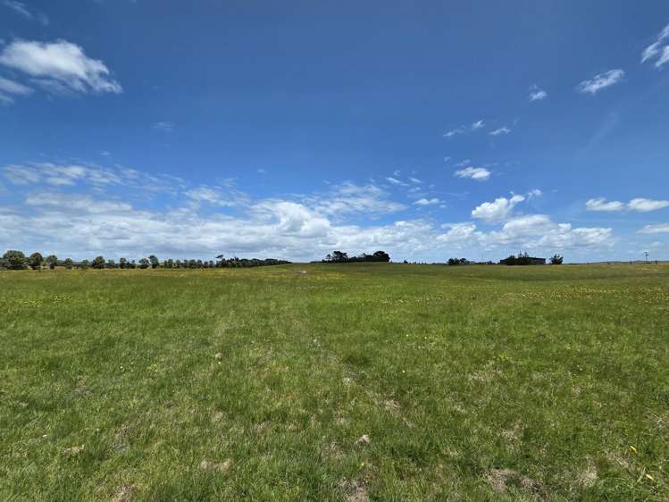 Mount Wesley Coast Road Dargaville_9