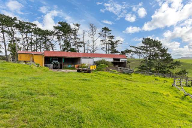 122 Evans Road Helensville_3