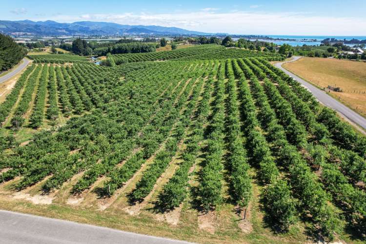 5 Lindup Road Lower Moutere_14