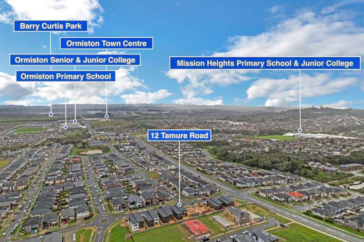 12 Tamure Road Flat Bush_39