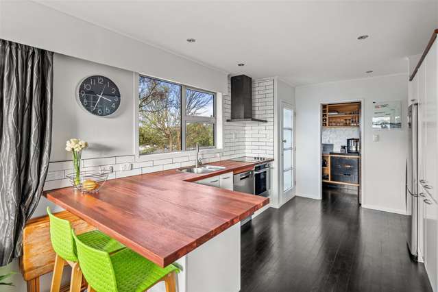 1 Hillview Crescent Paparangi_1