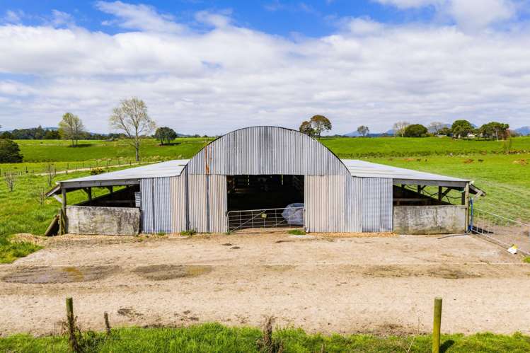 Mangakahia Road Titoki_22