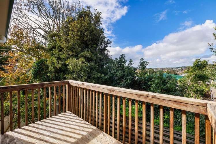 56A Mount Royal Avenue Mount Albert_15