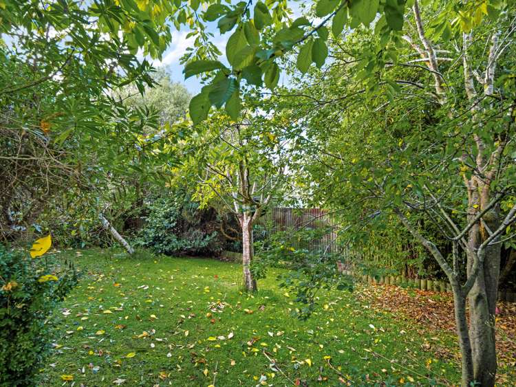 4 Hugh Street Sawyers Bay_21