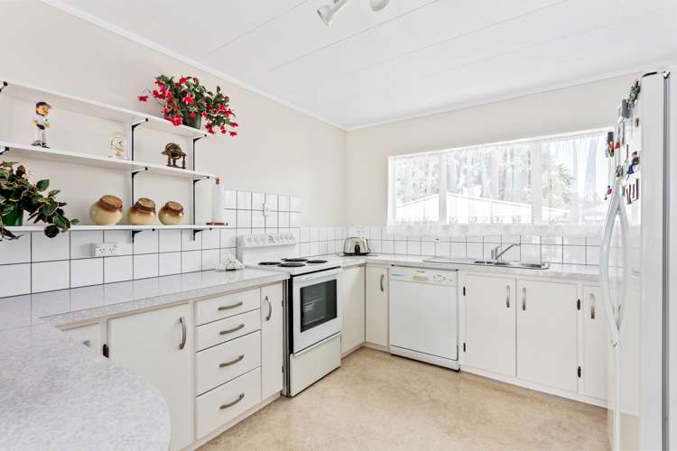 1a Domett Street Whataupoko_6