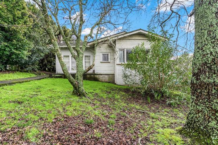 36 Seaview Terrace Mount Albert_0
