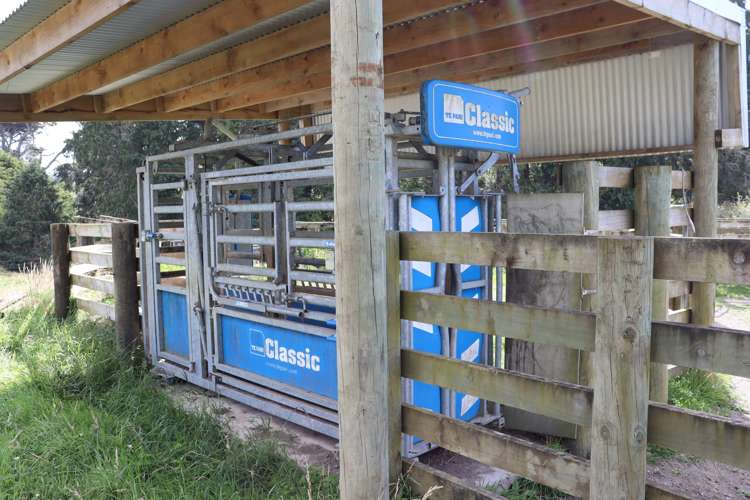 102 Manu Road Te Popo_23