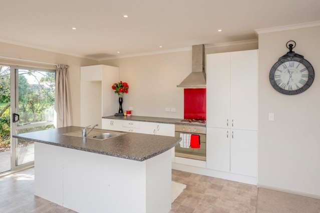 56b Keepa Street Levin_2