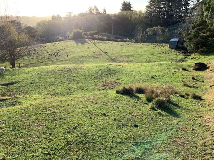 29 Warman Road Okura_11