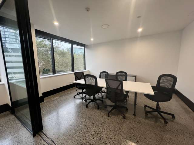 48 Greys Ave Auckland Cbd_4