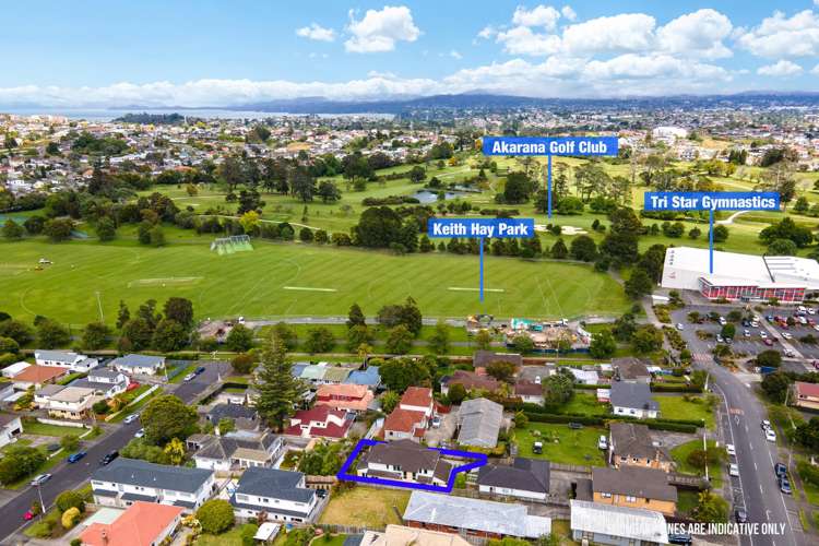 44B Arundel Street Mt Roskill_40