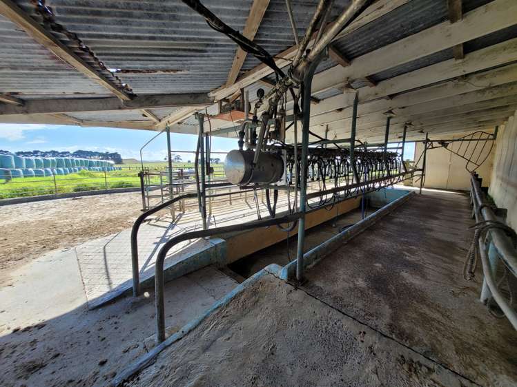 1919 Pouto Road Te Kopuru_11