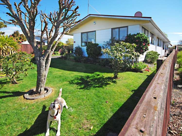 38 Vogel Crescent Masterton_19