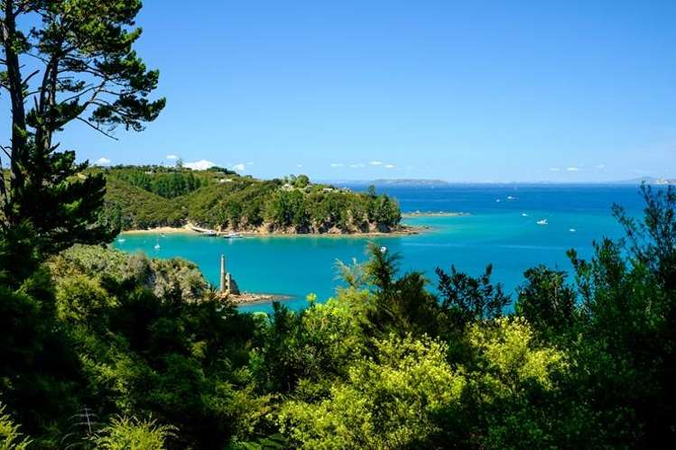 Real estate agent sells Kawau Island homes while sailing the South Pacific