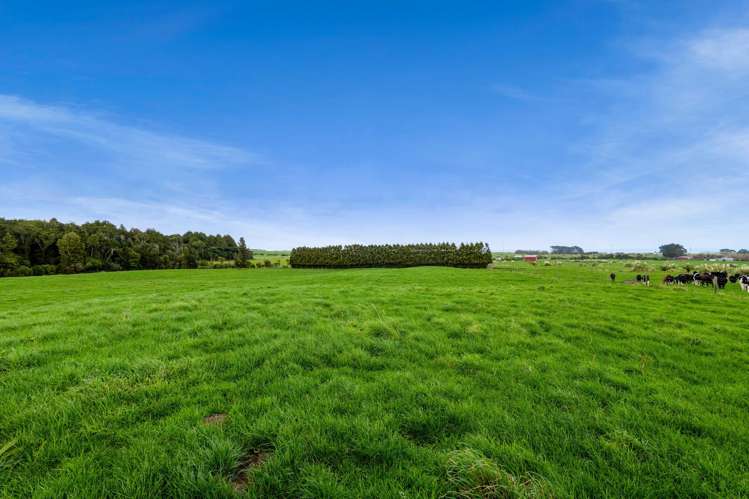 294 Kiri Road Te Kiri_39