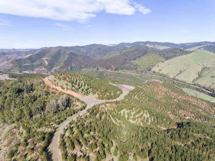 1753 Honikiwi Road Otorohanga_7