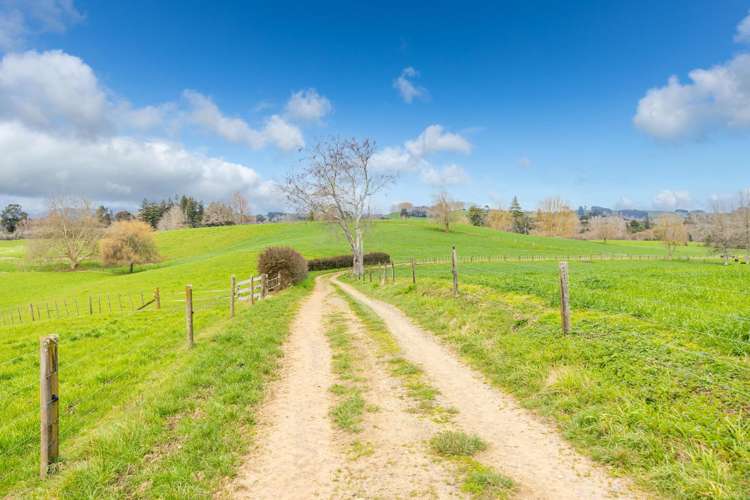 275 St Leger Rd Kihikihi_6