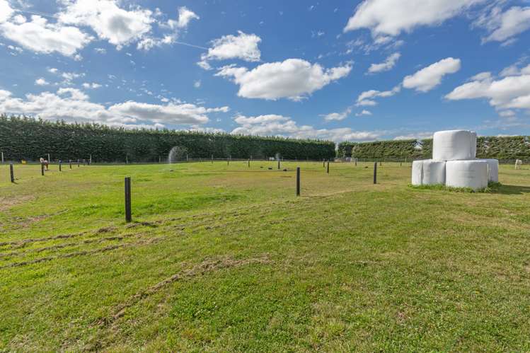 1217 Hoskyns Road Kirwee_34