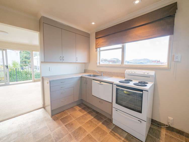 77 Manor Place Dunedin Central_5